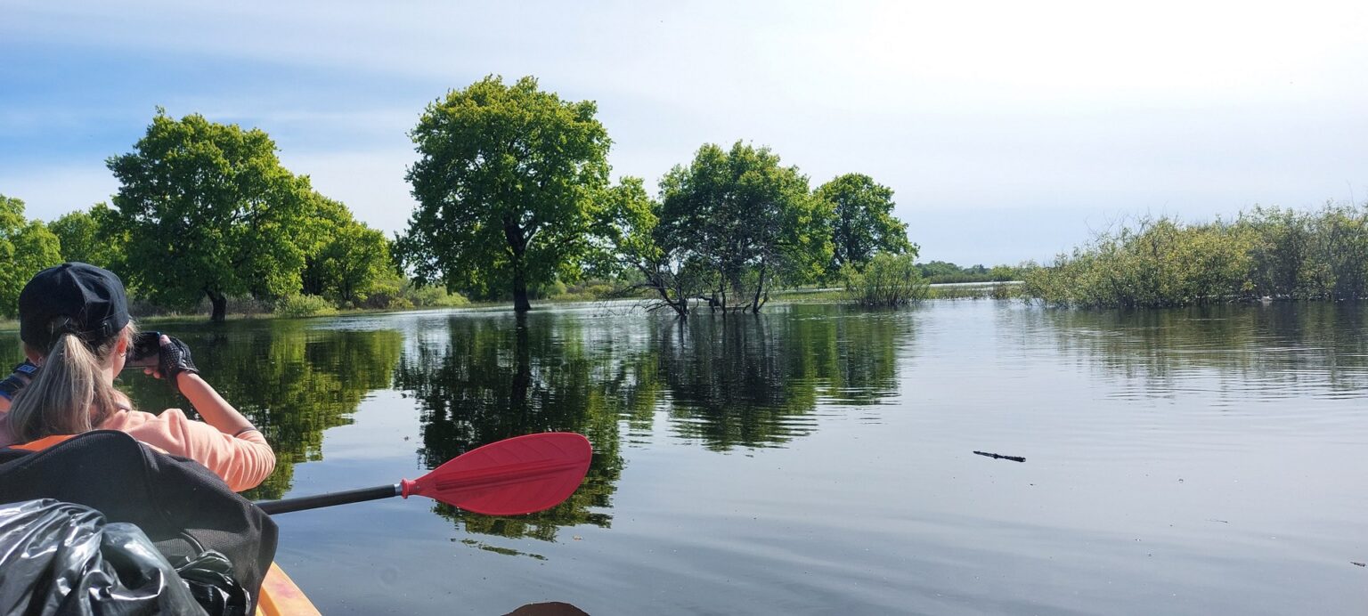 море герадота