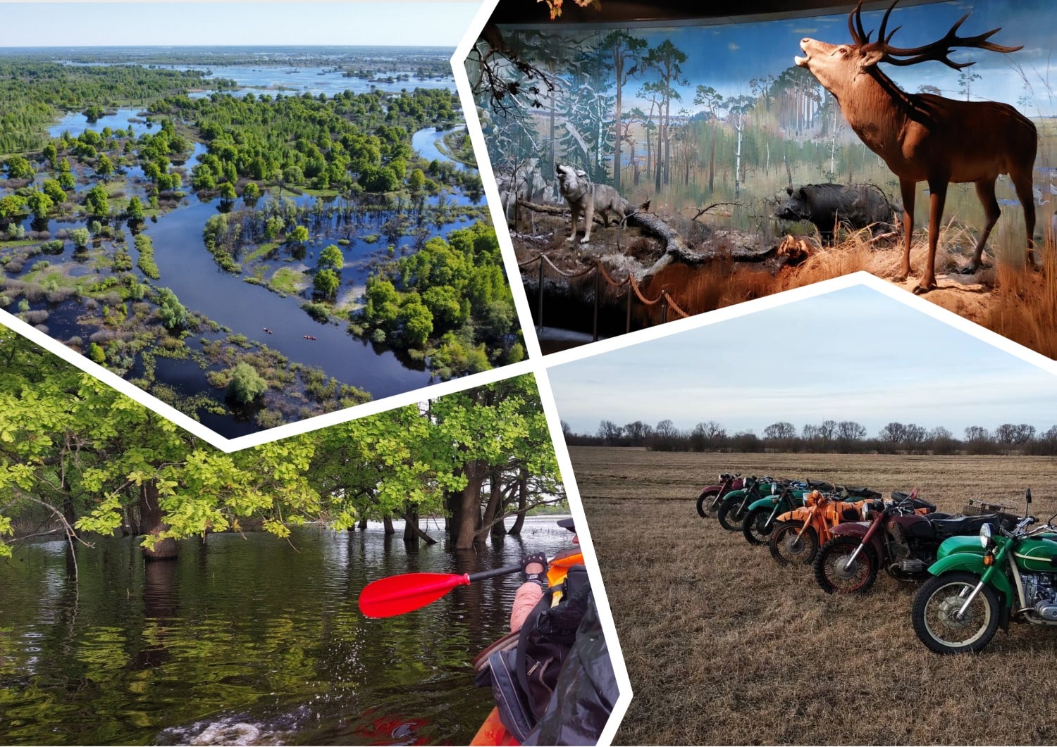 море герадота