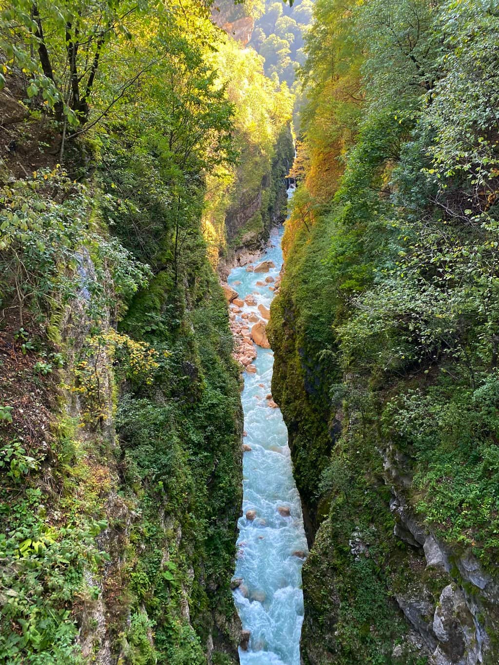 IMG_2108(1) (1)