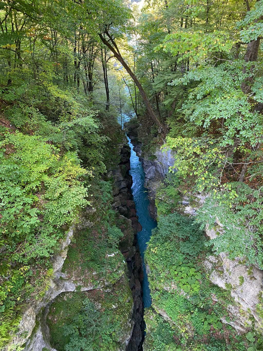 IMG_2114 (1)